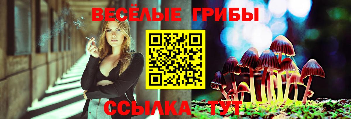 Псилоцибиновые грибы мицелий Похвистнево