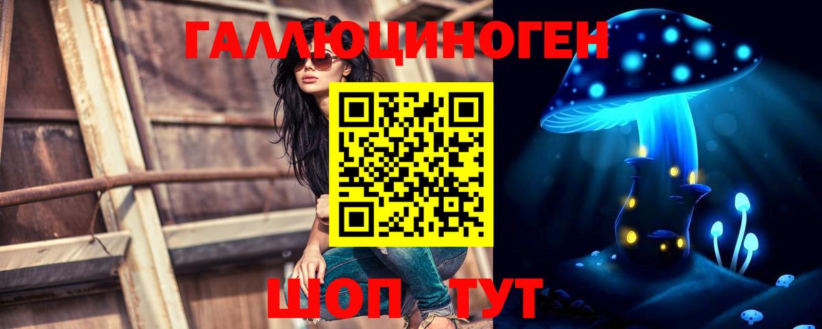Псилоцибиновые грибы Psilocybe  Вход с VPN  Похвистнево 